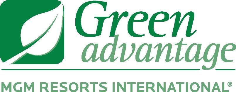 More Info for Leading through the Green Advantage