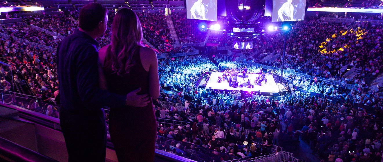 Luxury Suites T Mobile Arena